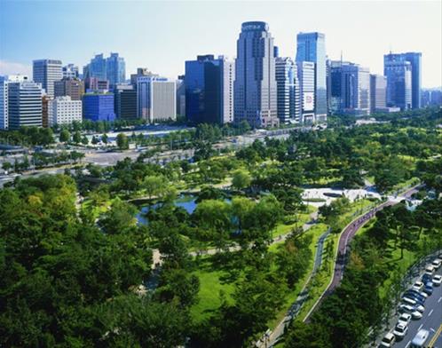 urban forest.jpg