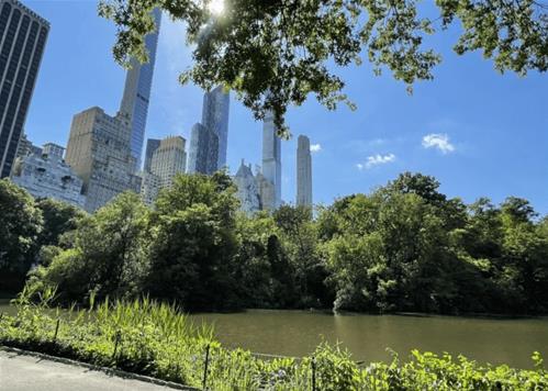 central park.jpg