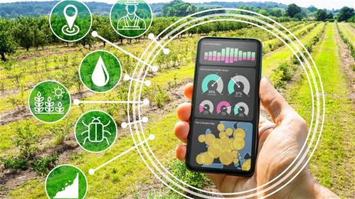 agrismart-2.jpg