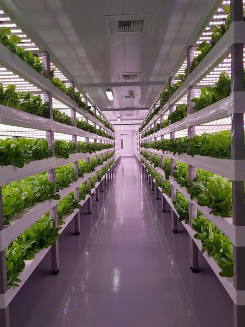 vertical-farming.jpg