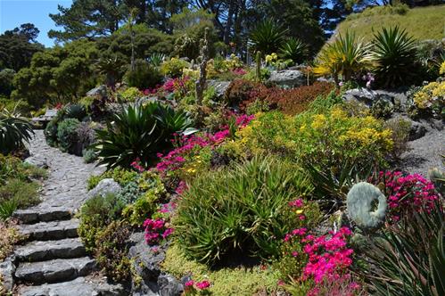 dry garden.jpg
