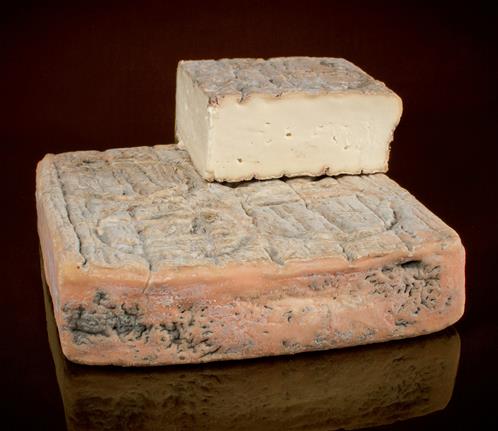 Taleggio-Dop.jpg
