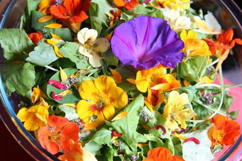 fiori eduli.jpg