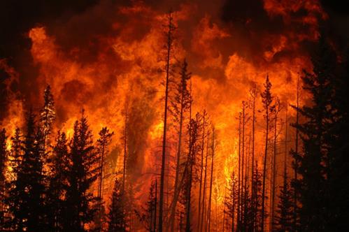 lotta-agli-incendi-boschivi (1).jpg