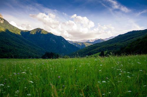 natura.jpg