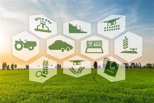 digital_agriculture-inline_image.1630x0.jpg
