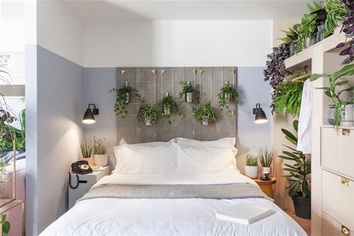 hotel piante.jpg