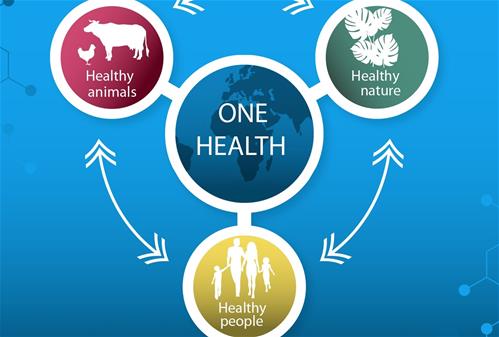one-health33.jpg