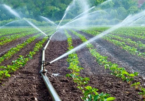 Irrigation-reforms.jpg