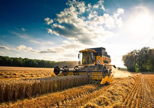 Agricoltura_Harvester_in_a_corn_fieldPreviewlarge.jpg