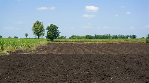 terreno-agricolo.jpg