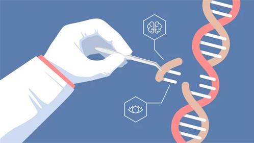 crispr.jpg