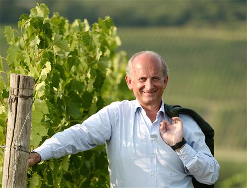 _Lamberto Frescobaldi - vineyard (media) (003).jpg