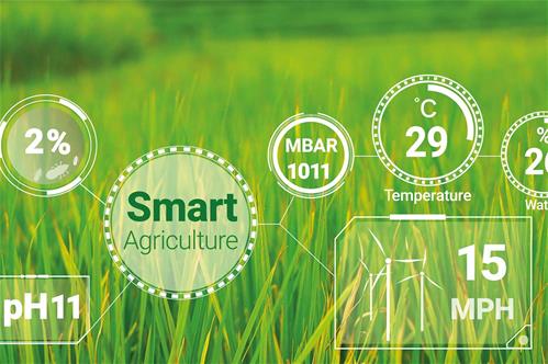 smart-digital-agriculture.jpg