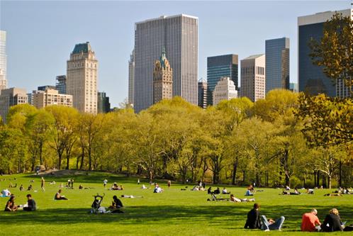 Central-Park-New-York-New-York.jpg