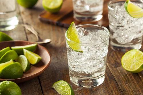 ricetta-gin-tonic.jpg