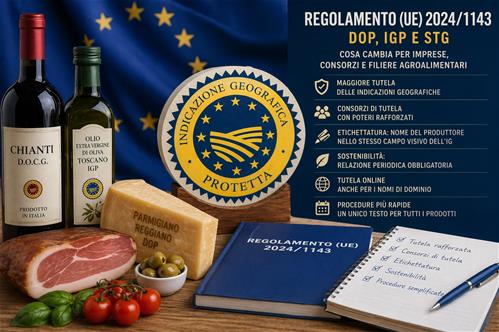 Regolamento-UE-20241143.jpg